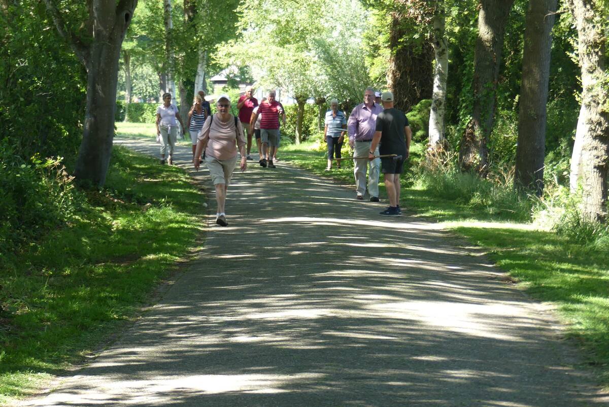 Groep klootschiet gezellig over een lommerrijk pad tussen de bomen